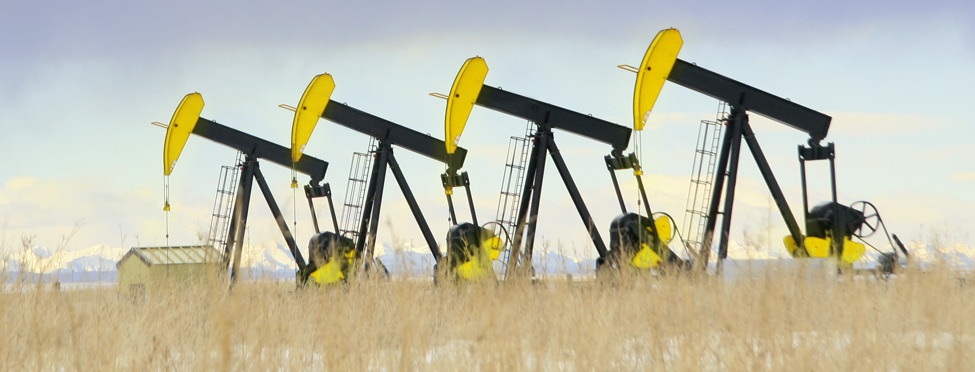 4 gelbe Ölpumpen auf einem Feld_2 4 gelbe Ölpumpen auf einem Feld_2